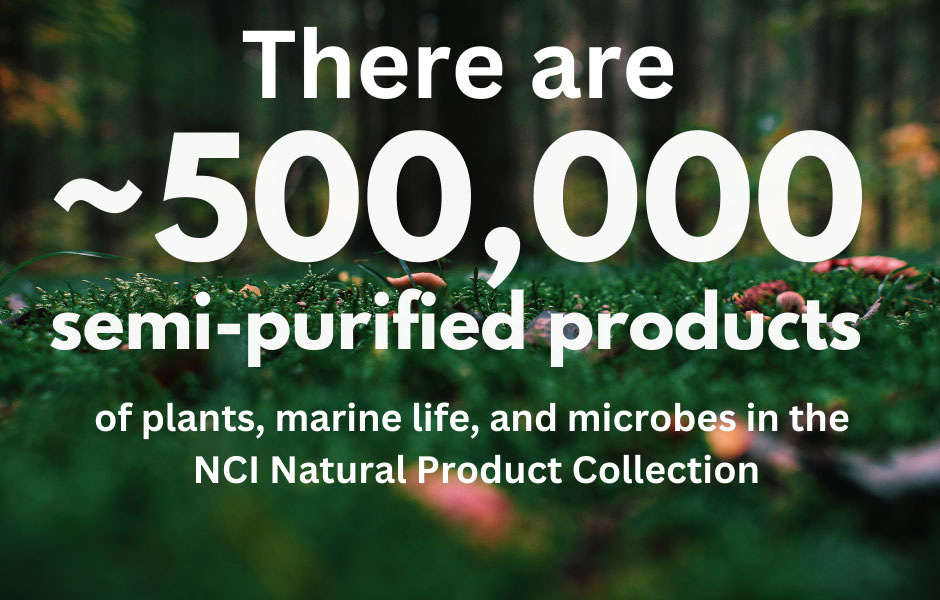 semi-purified products infographic