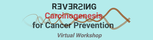 Reversing Carcinogenesis Workshop Banner
