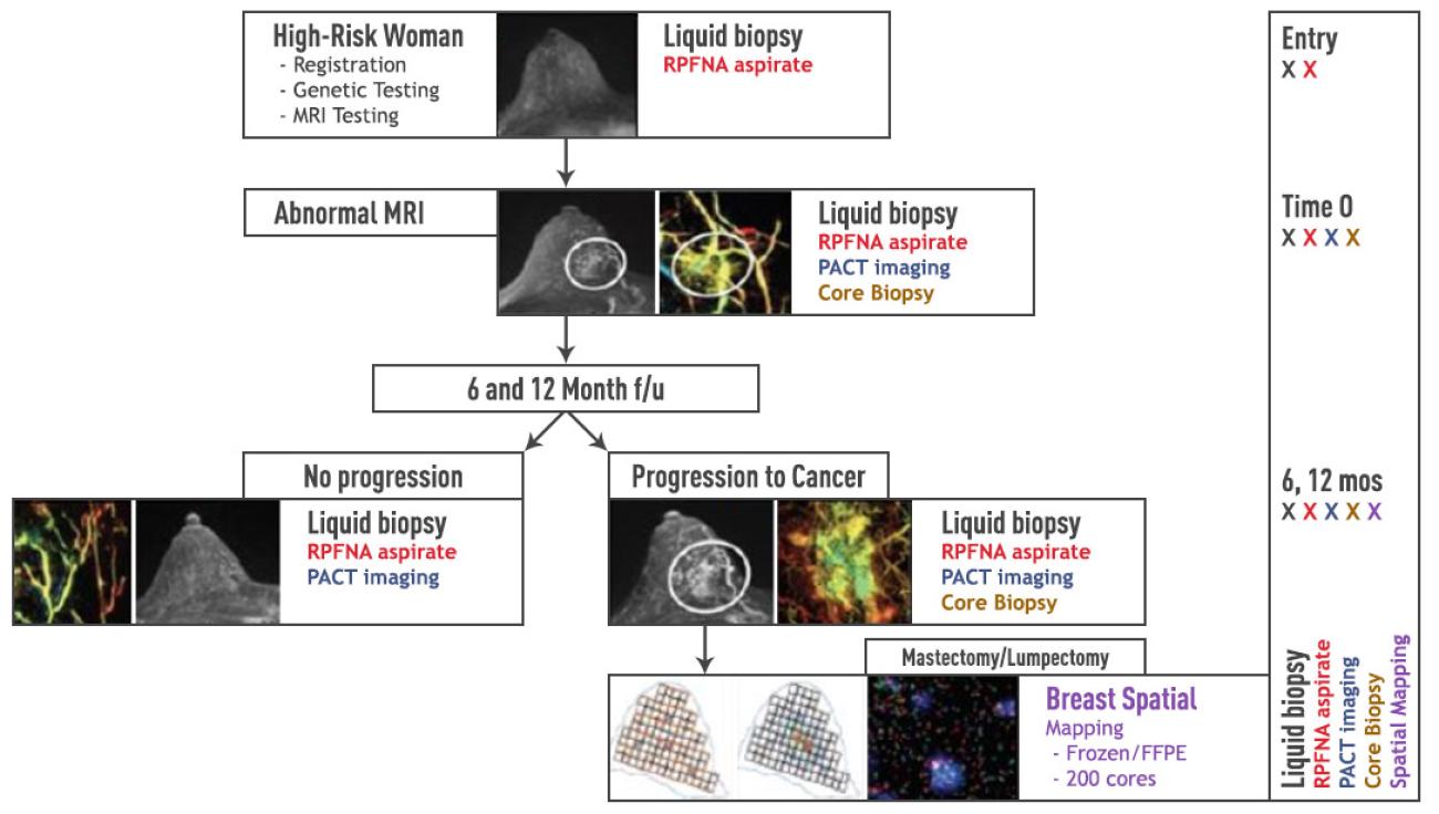 Construction of a multi-parametric temporal/spatial atlas of short term progression of pre-cancerous breast tissue with aggressive biological potential to an interval cancer