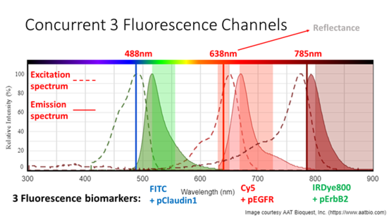 Concurrent 3 Fluorescence Channels