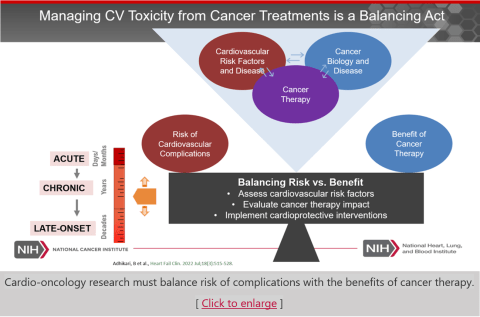 Managing Cardiovascular Toxicity from Cancer Treatments is a Balancing Act