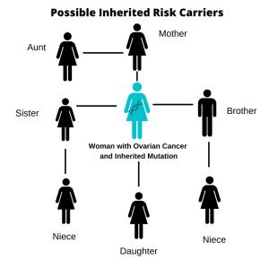 An illustration displaying possible inherited risk carriers within a family.