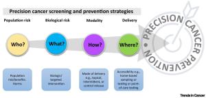 Precision cancer screening and prevention strategies: population risk, biological risk, modality, delivery