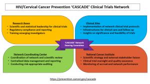 An infographic mapping CASCADE clinical trials network.