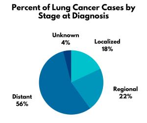 Percent of Lung Cancer Cases by Stage at Diagnosis