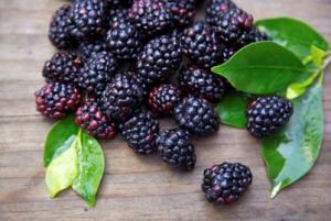 An image of black raspberries.