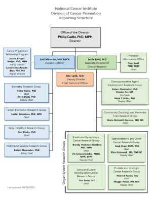 NCI Division of Cancer Prevention Reporting Structure