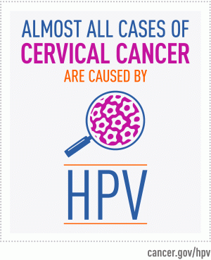 Almost all cases of cervical cancer are caused by HPV.