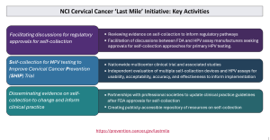 'Last Mile' Initiative Key Activities