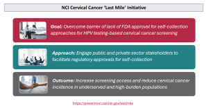 'Last Mile' Initiative Overview