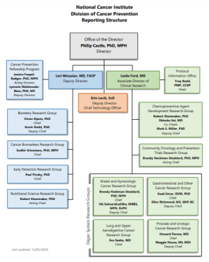 Screen capture of the DCP Leadership Reporting Structure.