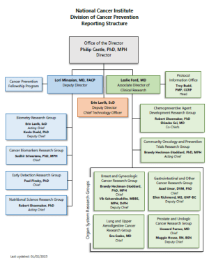 Screen capture of the NCI Division of Cancer Prevention Reporting Structure.