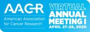 Logo AACR Virtual Annual Meeting I: April 27-28, 2020